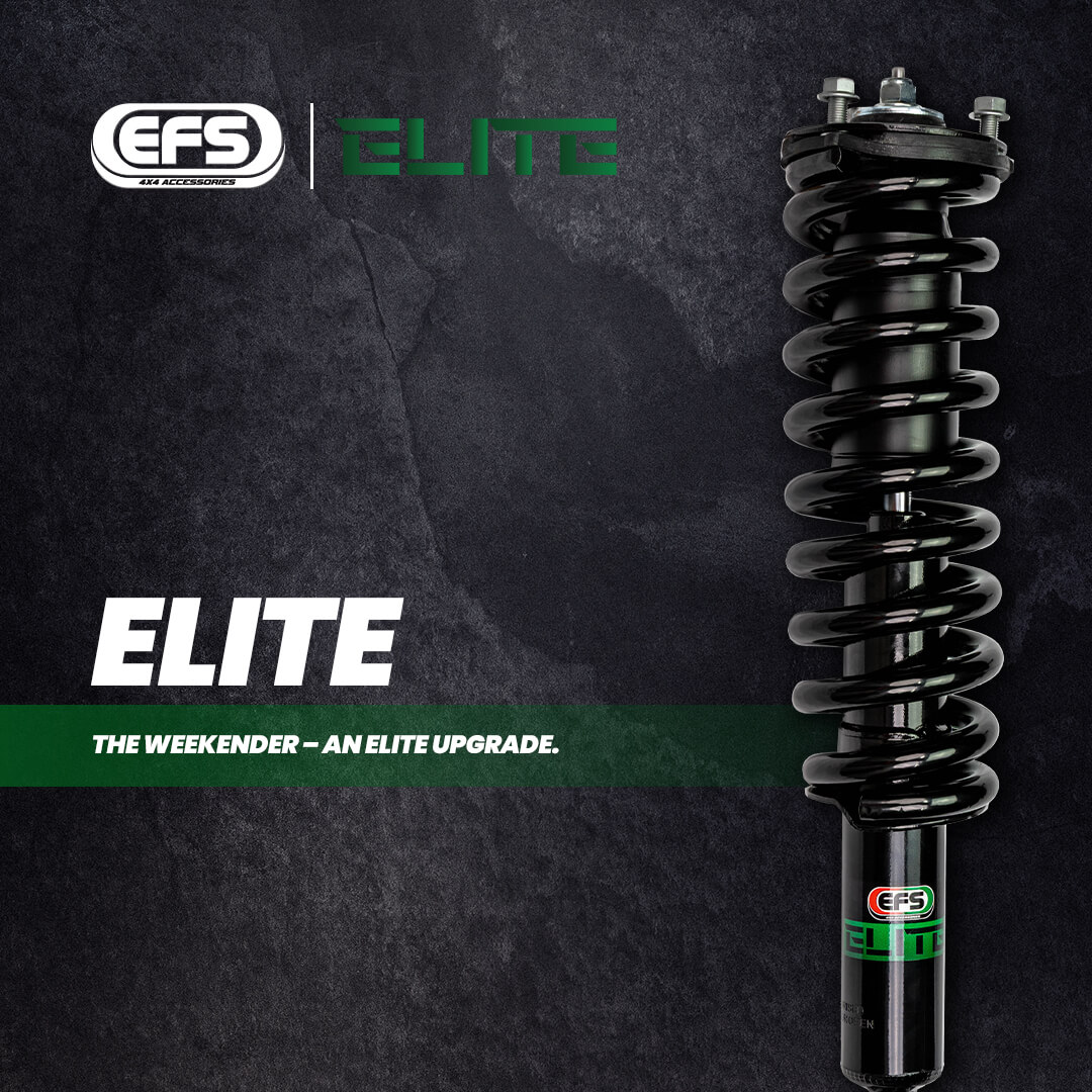 EFS Elite shock absorber