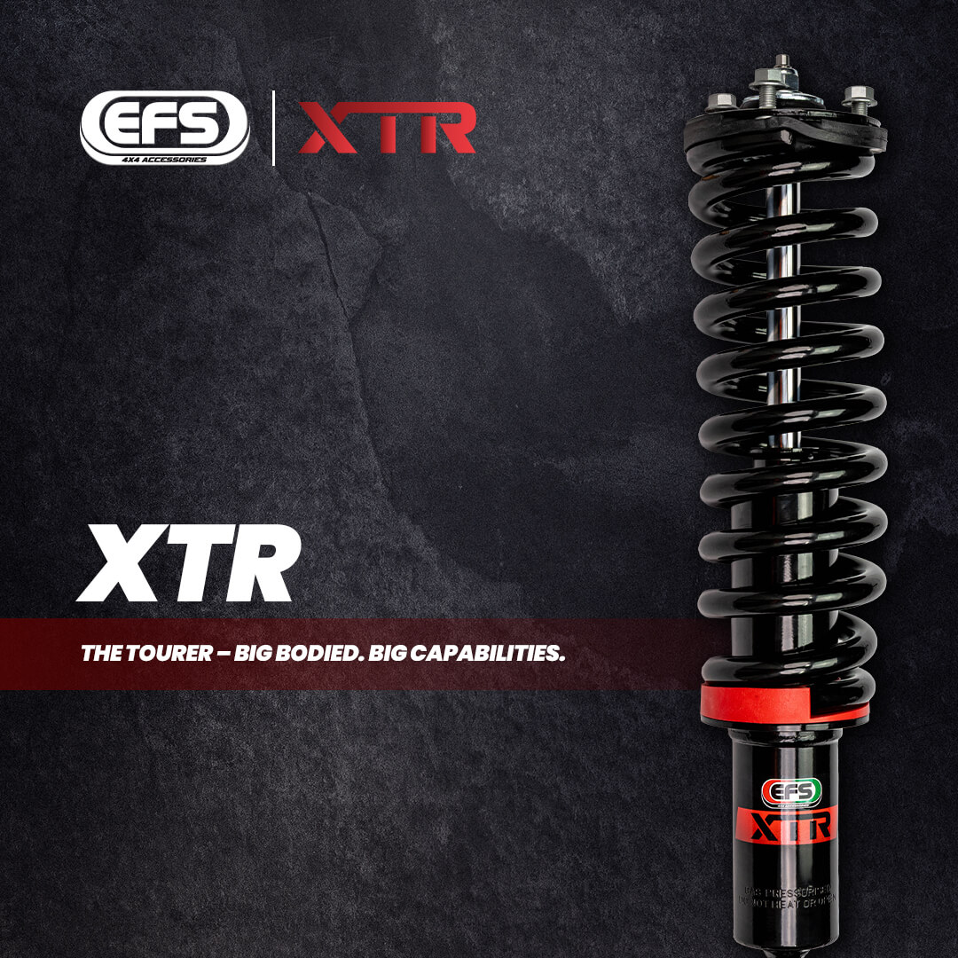 EFS XTR shock absorber