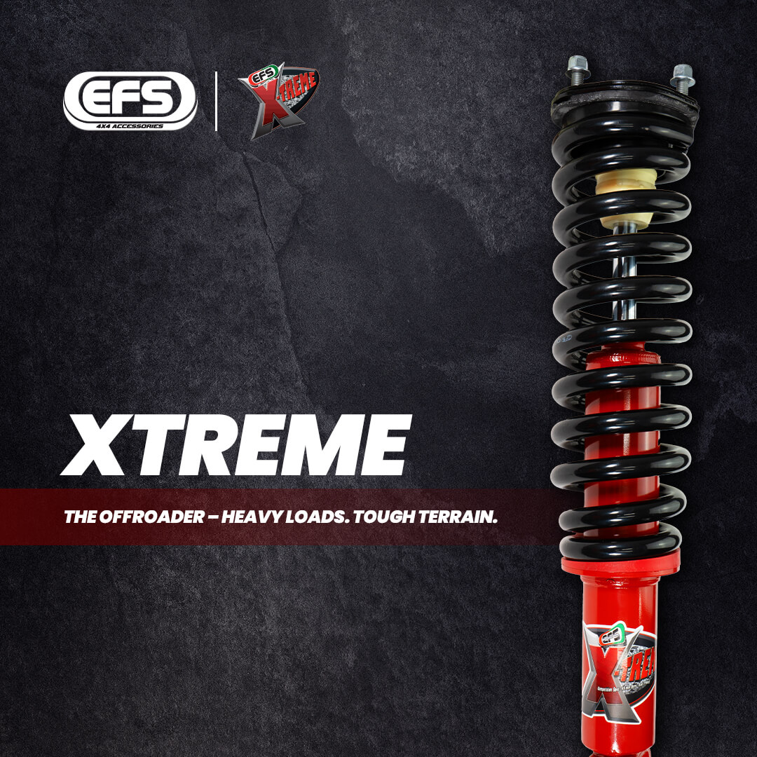 EFS Xtreme shock absorber